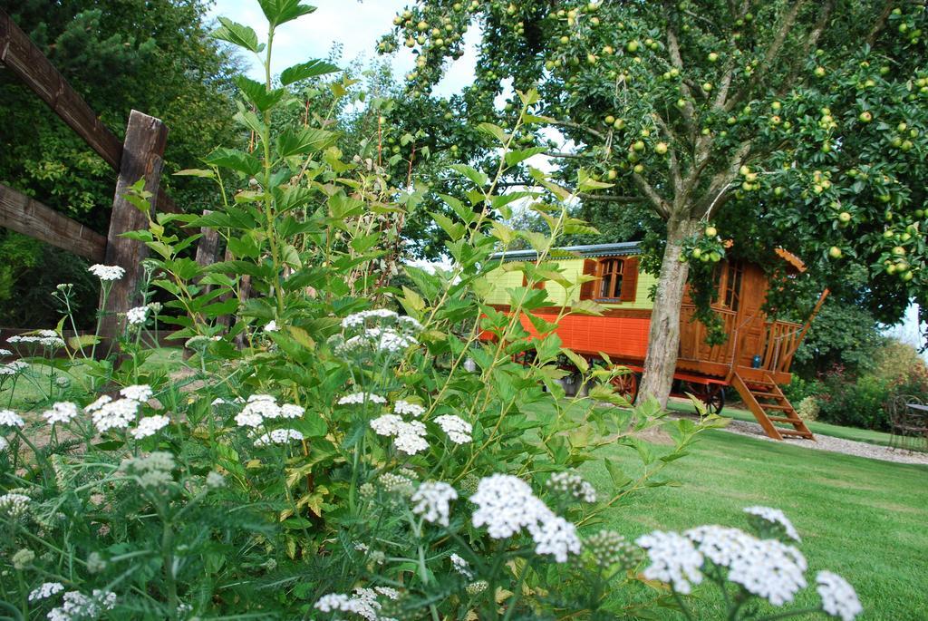 Capucine Villa Honfleur Phòng bức ảnh